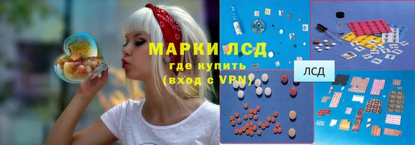 тгк Карпинск