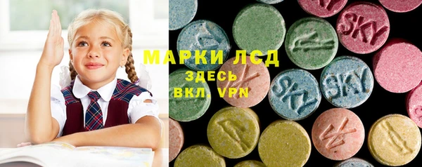 дживик Касимов
