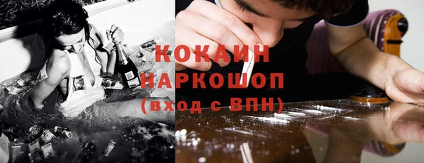 дживик Касимов