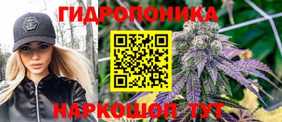 дурь Бийск