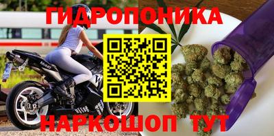 дурь Бийск