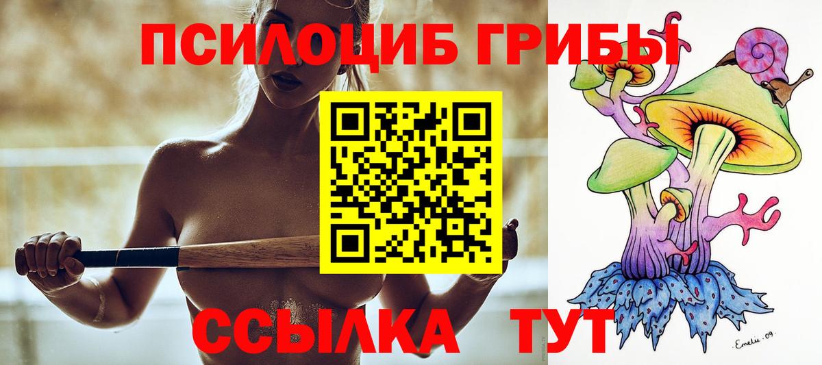 Псилоцибиновые грибы GOLDEN TEACHER Избербаш