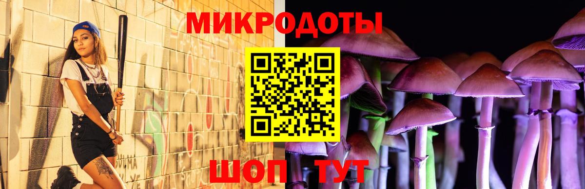 Избербаш  Псилоцибиновые грибы Psilocybe  Вход с VPN  Галлюциногенные грибы GOLDEN TEACHER 